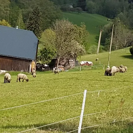 Rokytnice, Rokytno 20 Rokytnice nad Jizerou
