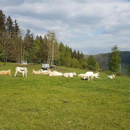 Rokytnice, Rokytno 20 Lejlighed