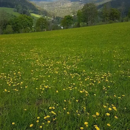 Rokytnice, Rokytno 20 Rokytnice nad Jizerou